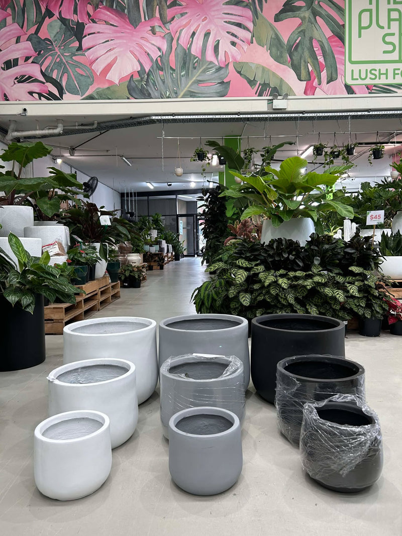 squat pot for plants GAR Squat Egg Pot – Indoor Plant Shed
