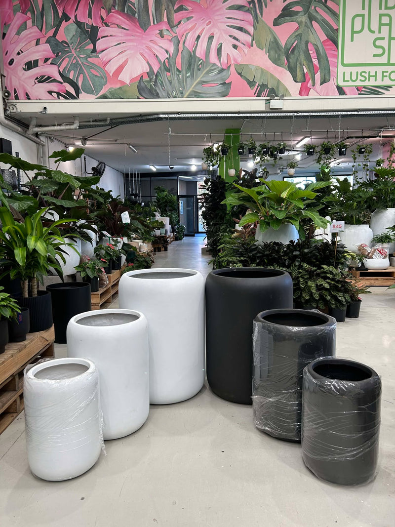 drum plant pot GAR Drum Planter Pot – Indoor Plant Shed