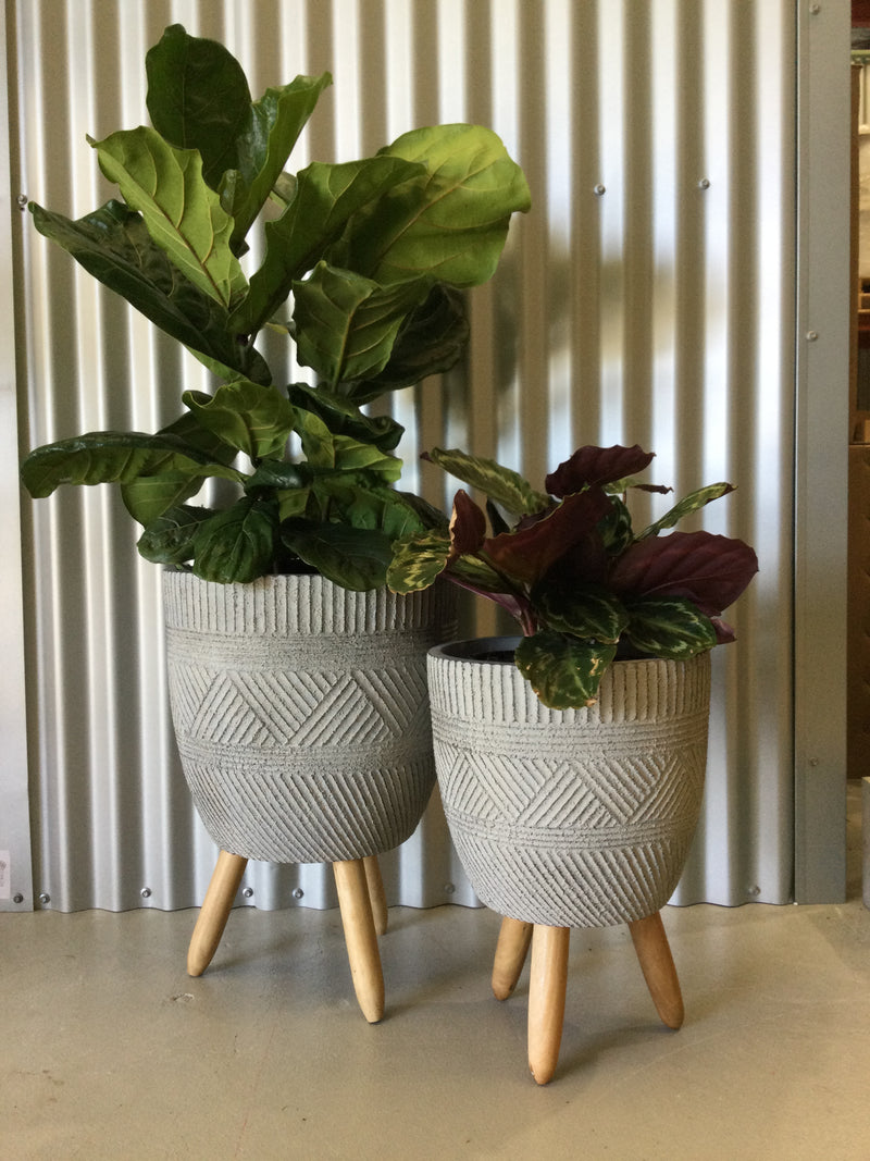 GEO TRIPOD Pot – Indoor Plant