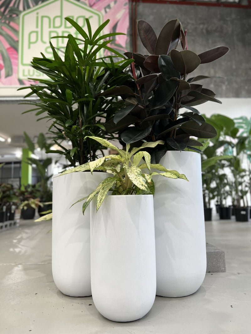 white tall pot plant GAR Tall U Pot – Indoor Plant Shed
