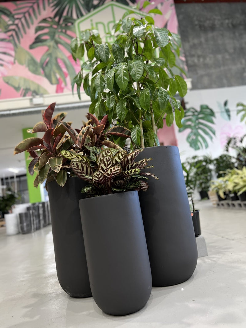 tall black pots for plants GAR Tall U Pot – Indoor Plant Shed