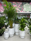 GAR Tall Tumbler Pot