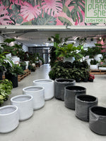 GAR Corrugated Cylinder Pot