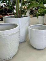 SAT Egg Pot