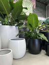 SAT Drum Pot