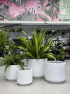 GAR Corrugated Cylinder Pot