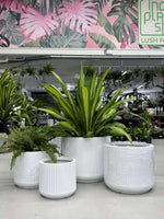 GAR Corrugated Cylinder Pot