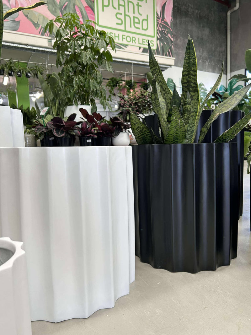 SAT Ribbed Cylinder Pot