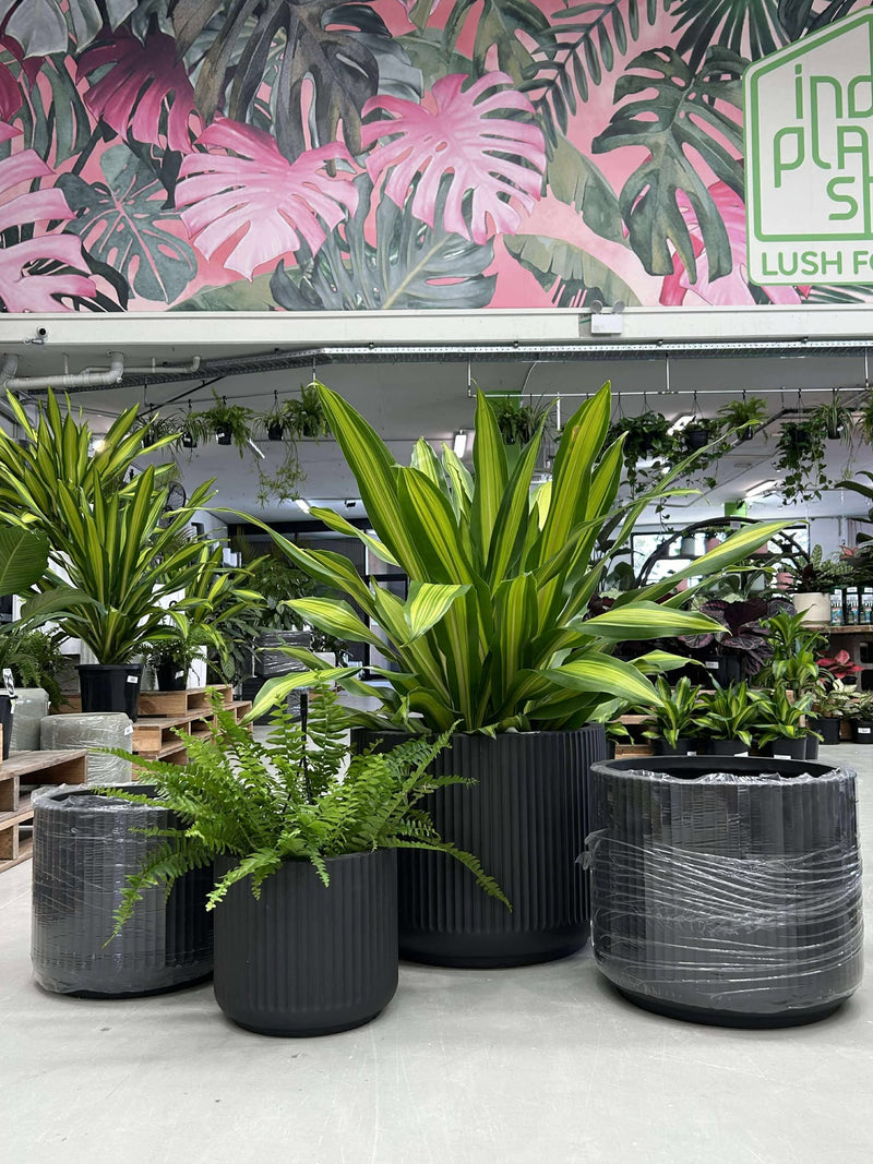 GAR Corrugated Cylinder Pot
