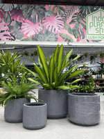 GAR Corrugated Cylinder Pot