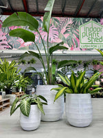 GAR Seychelles Pot