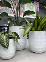 GAR Seychelles Pot