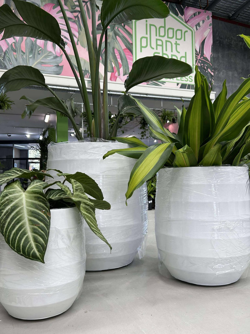GAR Seychelles Pot