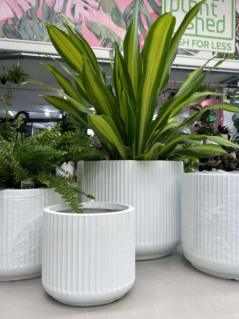GAR Corrugated Cylinder Pot