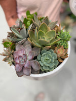 Succulent Garden & Bowl