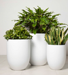 KELV Pot
