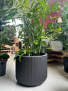 GAR Corrugated Cylinder Pot