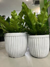 GEO LINE Egg Pot