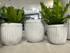 GEO LINE Egg Pot
