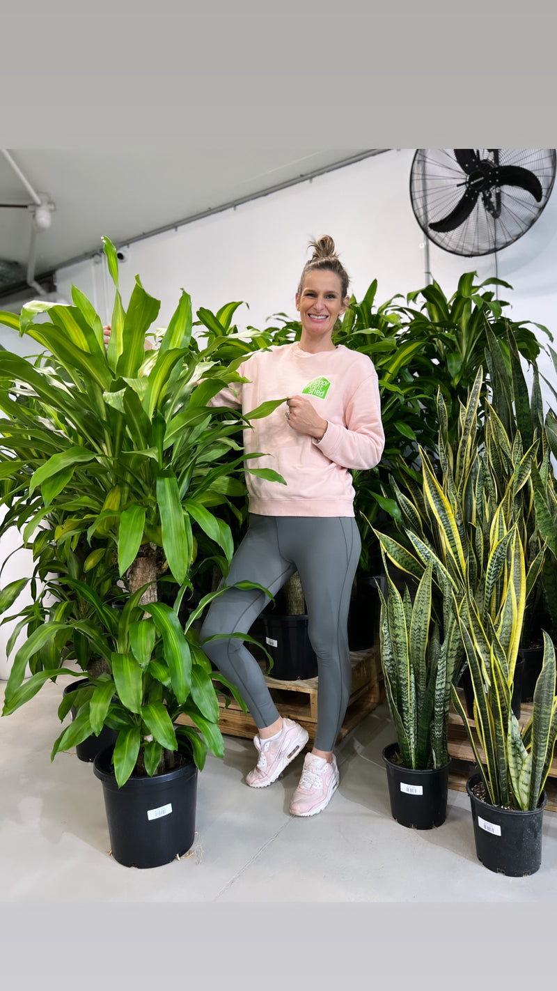 Happy Plant