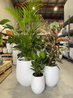 GAR Tall Congo Pot
