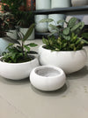 GAR Bowl Pot