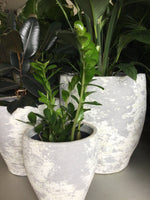 STONE TALL POT