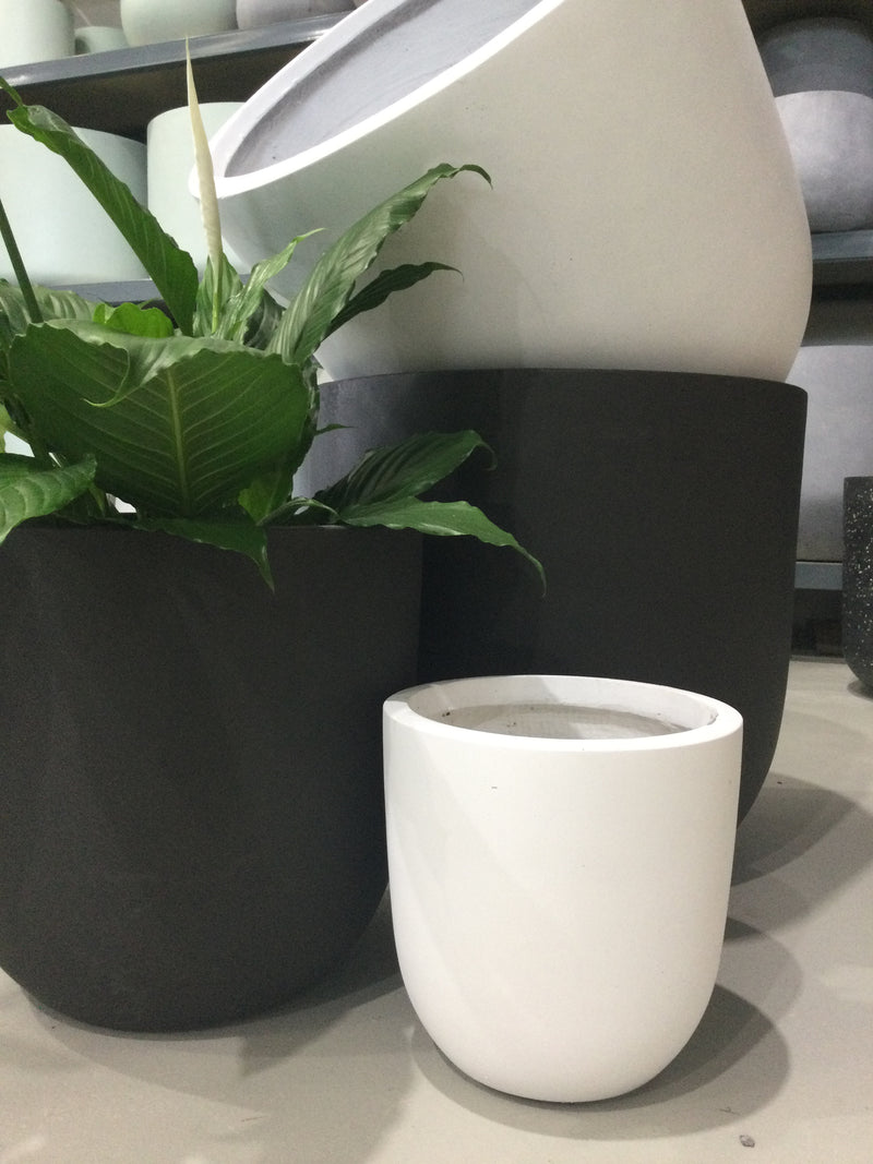 GAR Egg Pot