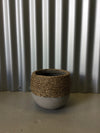 GRASS OLIVE Pot