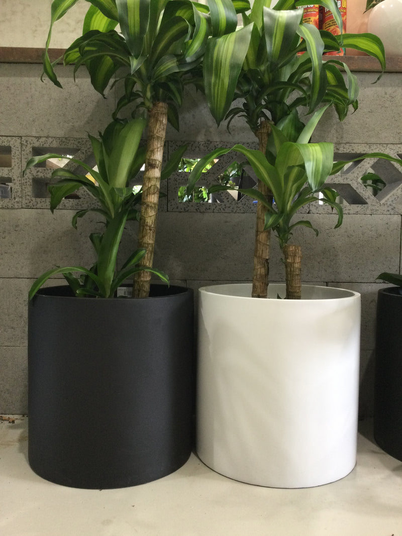 CARI Pot