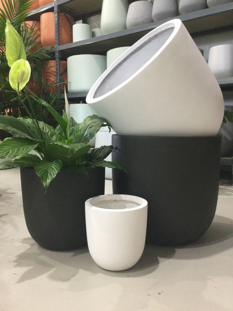 GAR Egg Pot