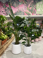 LUND Pot