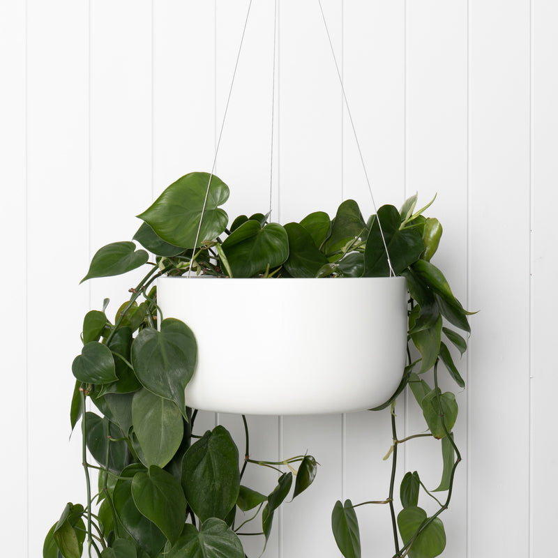 OSLO Hanging Pot