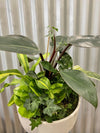 Foliage Garden & Bowl