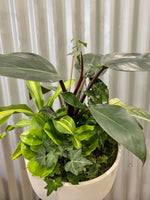 Foliage Garden & Bowl